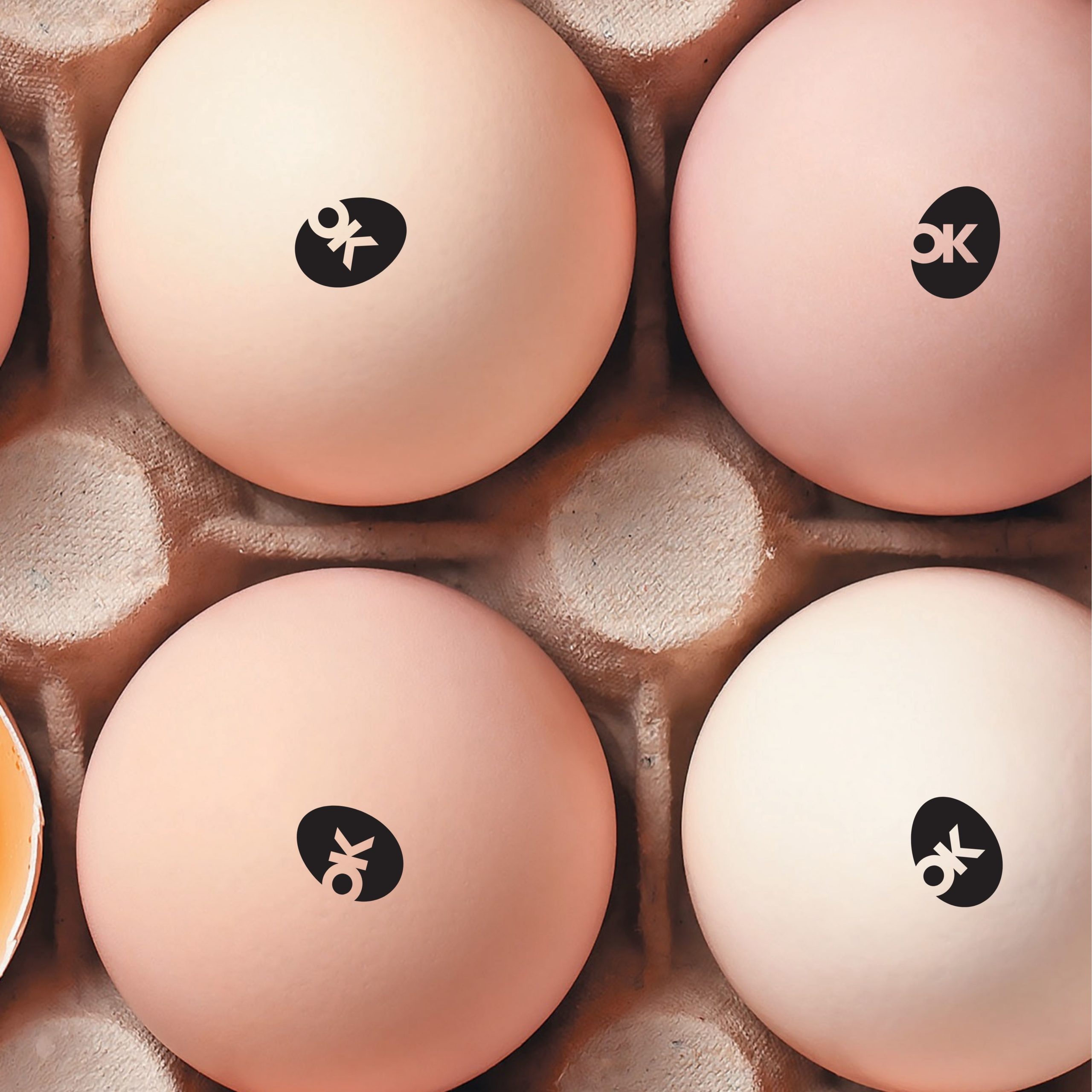 Argumentaire_oeuf_coquille_pasteurise_WEB (1).pdf (1)