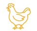 noun-chicken